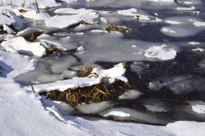 Icy Shore - Ryders Cove 003(2-03).jpg