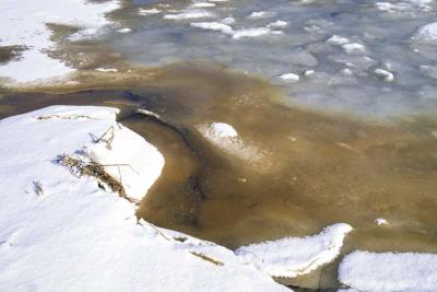 Icy Shore - Ryders Cove 005(2-03).jpg