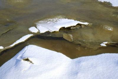 Icy Shore - Ryders Cove 006(2-03).jpg