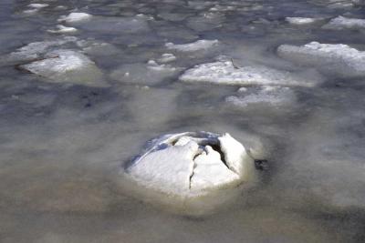 Low Tide On Icy Shore 001(1-03).jpg
