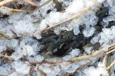Winter Photos