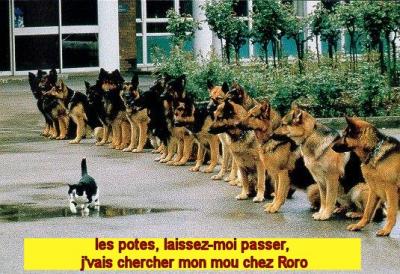 je veux mon mou