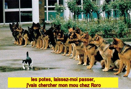je veux mon mou