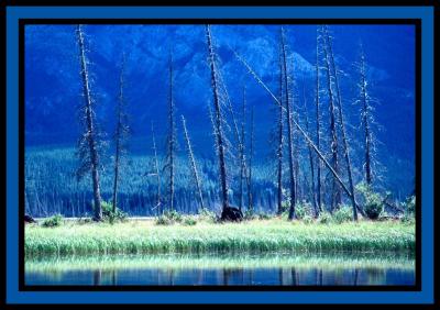 1st Vermillion Lakes