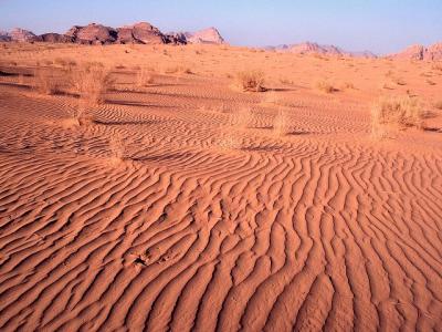 Ripples in the sand.jpg