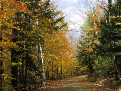 PA160126.JPG