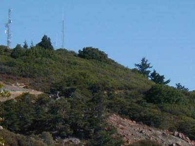 P1010007.JPG