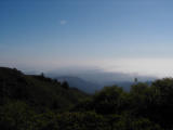 Beautiful Mt. Tam