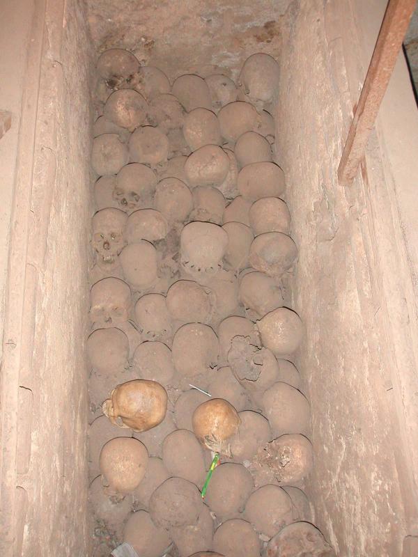 Bones from 25,000 people