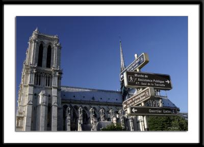 IMG_540.jpg