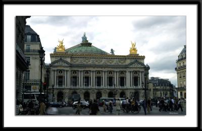 IMG_661.jpg