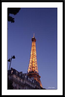IMG_0700.jpg