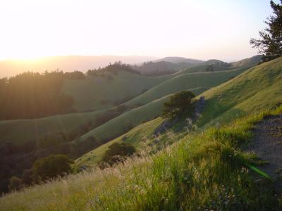 Mt. Tamalpais