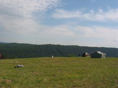 IMG_6252.jpg
