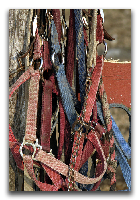 Horse Farm Gear