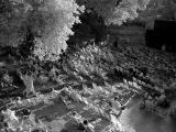 Late afternoon crowd (infrared photo)