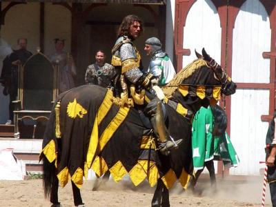 Joust Winner