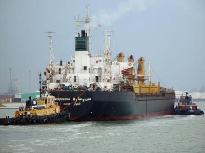 Busy Harbor, Corpus Christi, TX