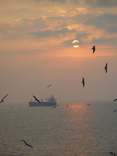 Corpus Christi, TX