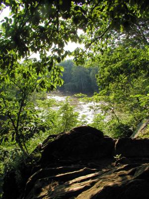 Another view of the Potomac River, approaching the Great Falls area.