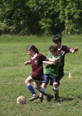 CRW_5657.jpg