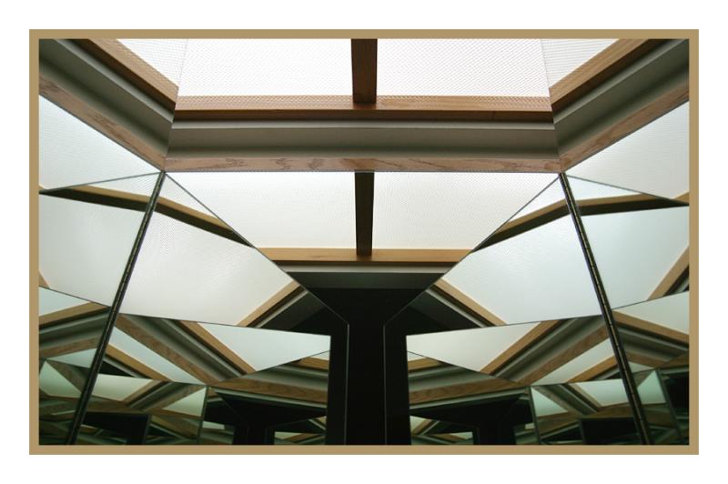 <B>Mirror rorriM</B>*<BR><FONT size=2>by Ann Chaikin</FONT>