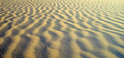 Sand WavesJames Langford