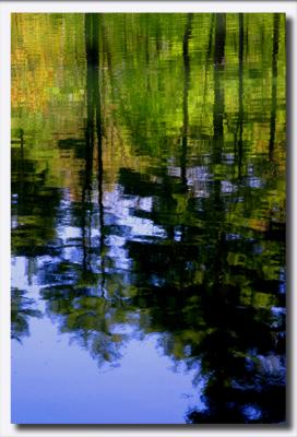 Alpine Lake Reflections by Roberta