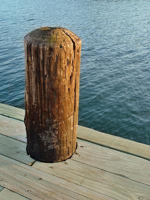 Round Peg - Shay