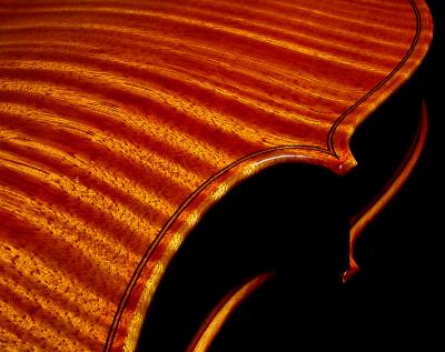 back of violin by Katherine Kenison
