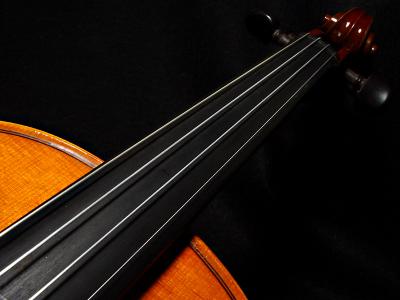 violin by Katheirne Kenison