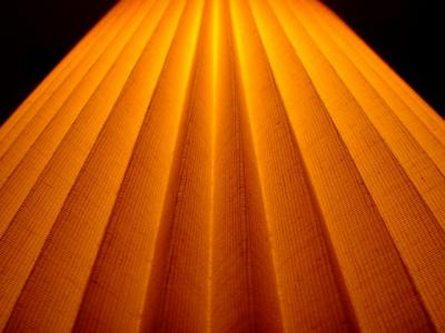 Lamp ShadeTom Carter