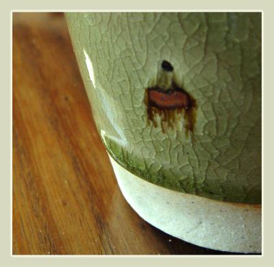 wounded celadon *by Michael Puff