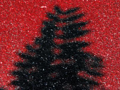 shadow on red by Harry Behret