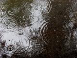 <B>Tears from Heaven* </B><BR><FONT size=2>by Ty McKay</FONT>