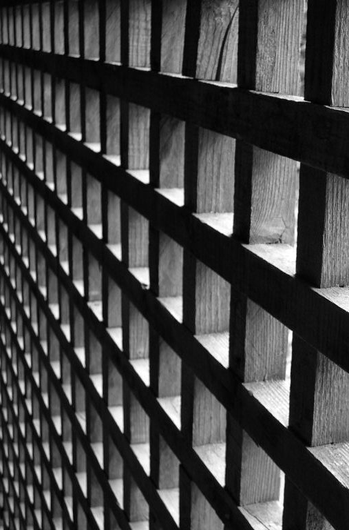<BR> Abstractly Monochromic * </BR><FONT SIZE=1> by Vera </FONT>