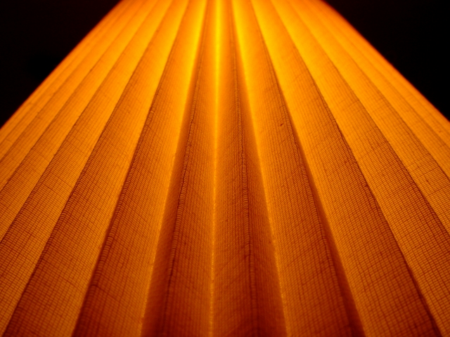 <B>Lamp Shade</b><br><font size = 2>Tom Carter