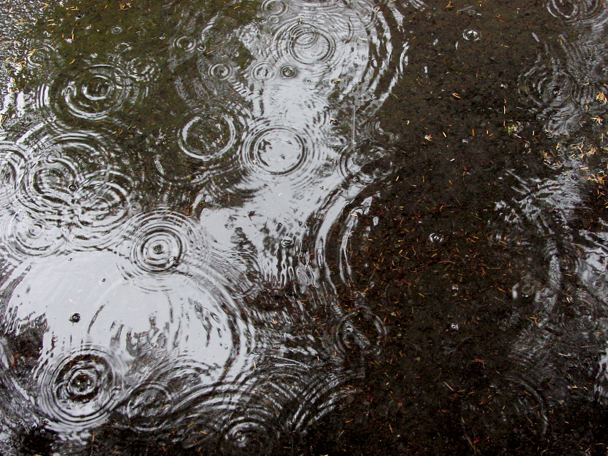 <B>Tears from Heaven* </B><BR><FONT size=2>by Ty McKay</FONT>