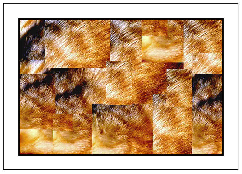 Fur Coat Hodge-Podge <br>by Deb