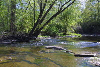 flint_creek
