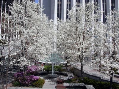 Plaza of the AON Building (formerly Standard Oil Building) on East Randolph street