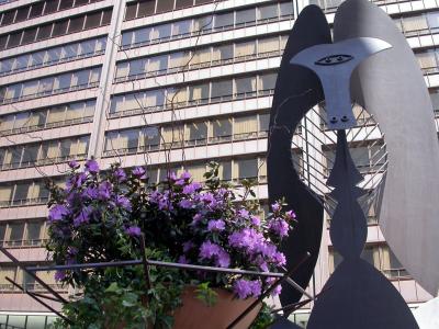 The Picasso sculpture in Daley Plaza