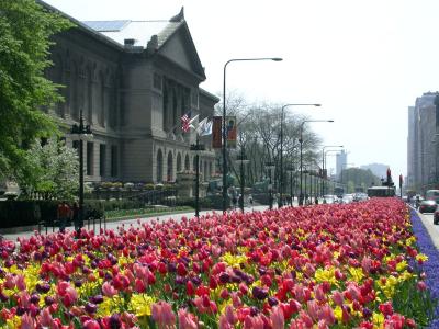 Spring in Chicago - 2003
