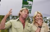 Steve Irwin Live on the Animal Planet