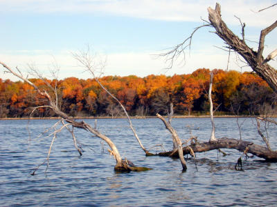 Fall Color at Cattail Lake