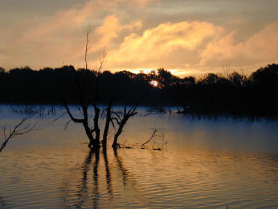 Sunrise at Cattail Lake