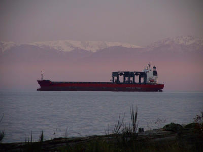 u2/woody/medium/483625.Freighter.pinkhaze.jpg