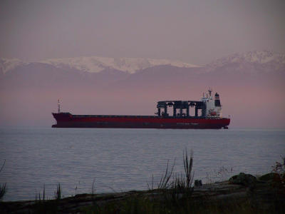 Freighter.pink haze.jpg