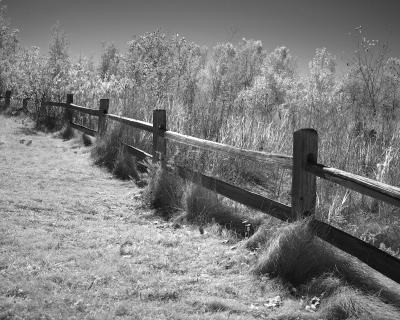 On the Fence