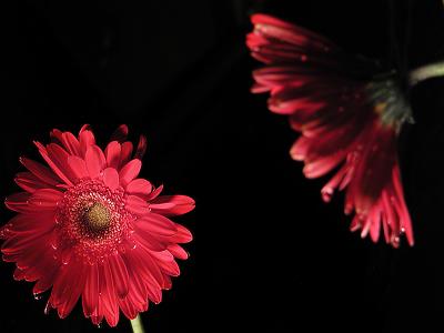 P2051720